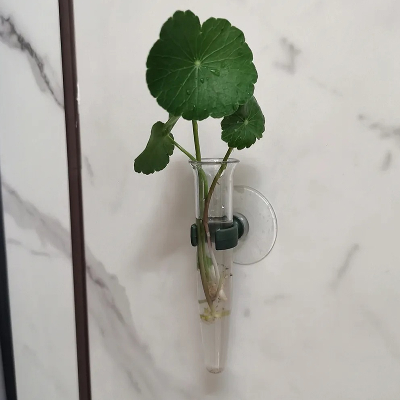 11cm Floral Water Tubes Plasti - Nutrition & Fitness Class 评论和价格