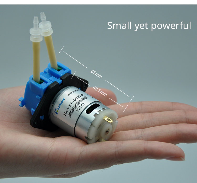 2026 new NKP 6V 12V 24V DC mot - Nutrition & Fitness Class 评论和价格
