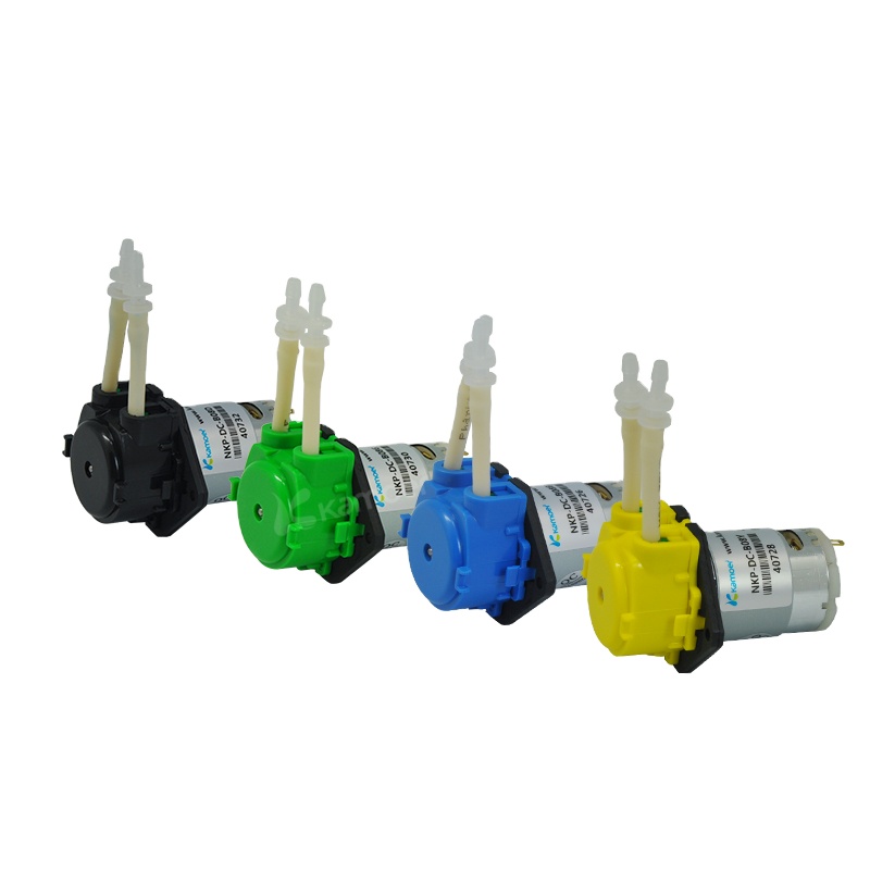 2026 new NKP 6V 12V 24V DC mot - Nutrition & Fitness Class 评论和价格