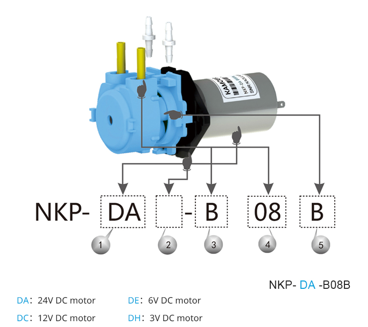 2026 new NKP 6V 12V 24V DC mot - Nutrition & Fitness Class 评论和价格