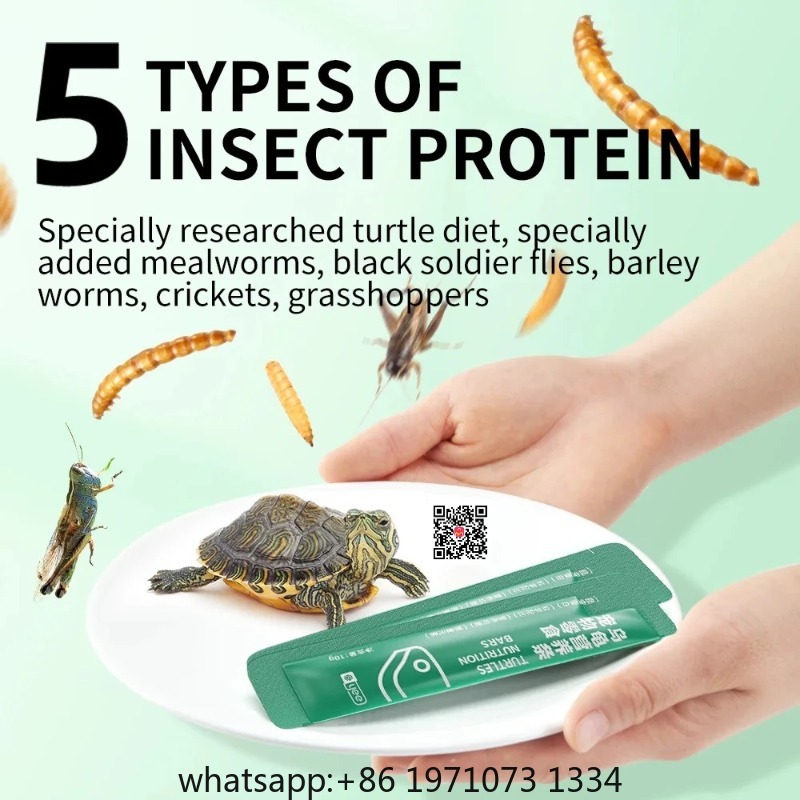 Yee Small Turtle Snacks Nutrit - Nutrition & Fitness Class 评论和价格