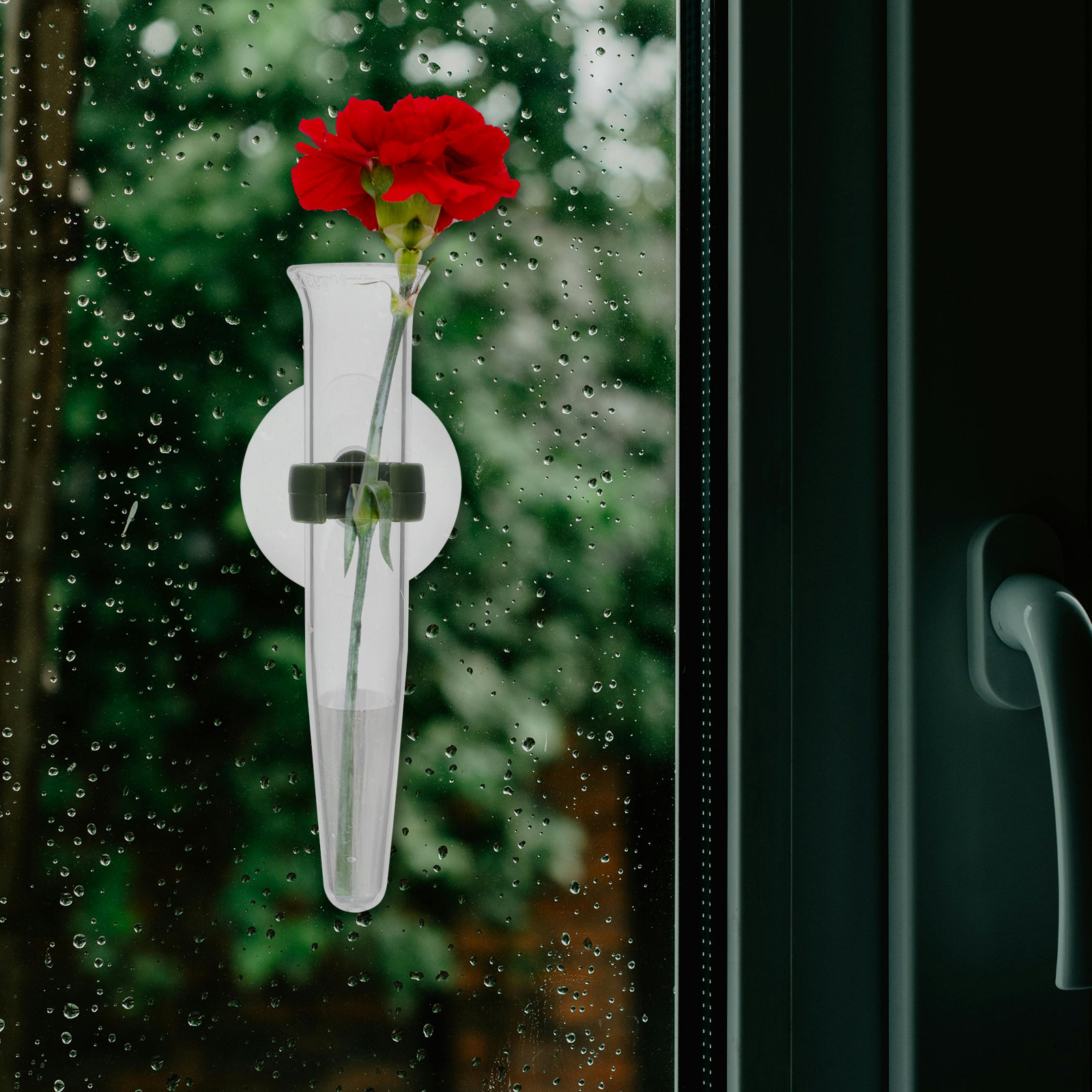 8Pcs Flower Hose Storage Silic - Nutrition & Fitness Class 评论和价格