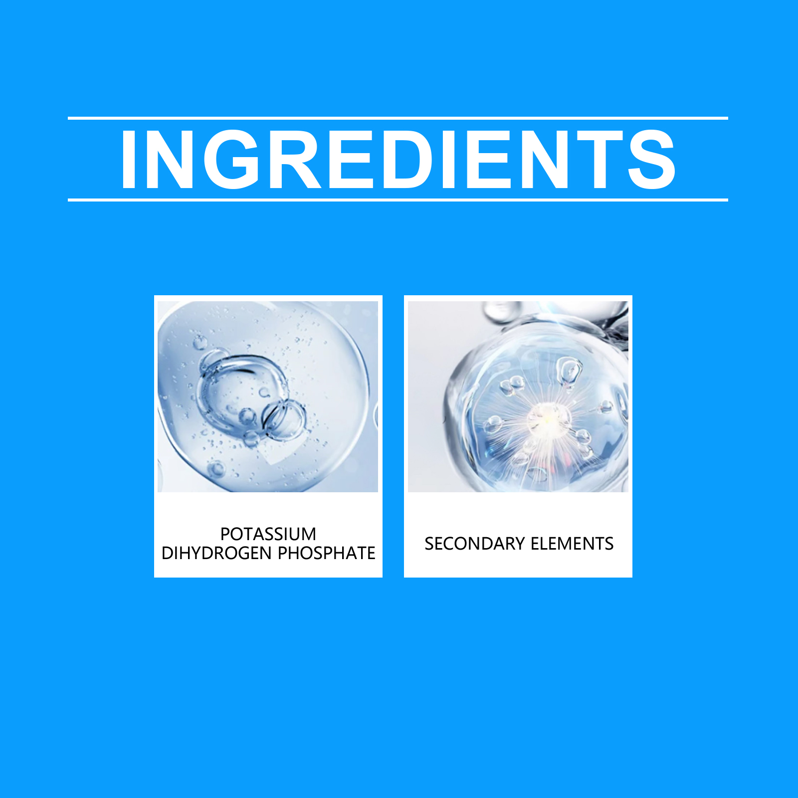 Flower Nutrient Solution Liqui - Nutrition & Fitness Class 评论和价格